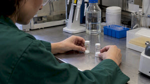 Alpha-GPC vs Citicoline: Compare Evidence, Labels & Goals